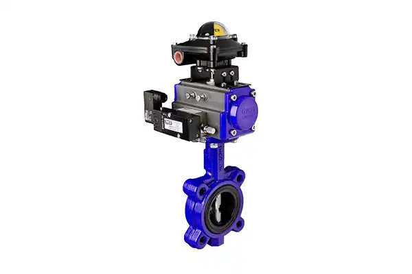 INCO VALVE AND CONTROLS 5